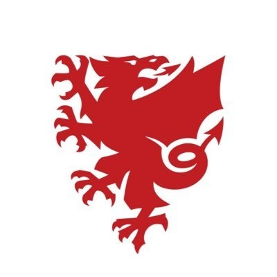 威尔士足协官方：为纪念英国女王，本周末各级比赛延期
