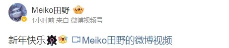 Meiko分享烟花：新年快乐?