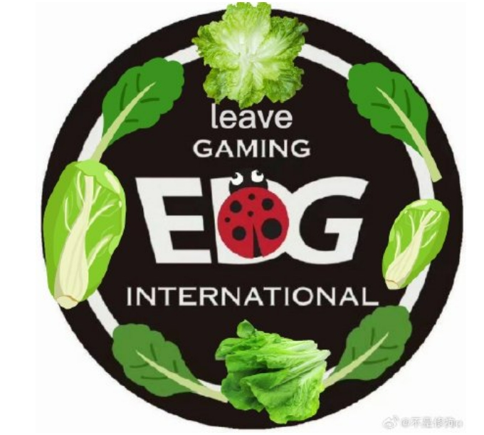 【QY球友会】超话直接造反！EDG不满或继续用Leave 直接将EDG队标P成瓢虫