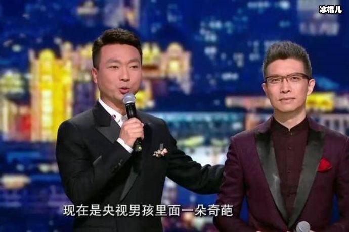 【QY球友会】网传撒贝宁被央视辞退？再次加入《今日说法》行事风格大变
