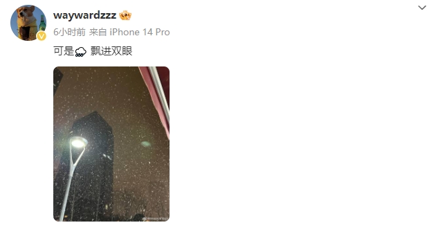【QY球友会】wayward深夜整活：可是?️飘进双眼 knight回复“能别吗”