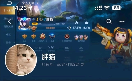 【QY球友会】“胖猫”姐姐直播观看人数超10万 礼物特效刷屏 称弟弟为接单注册36个号