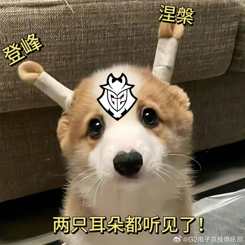 【QY球友会】看到登峰组/涅槃组的组名后，G2：好像都是兔宝的故事
