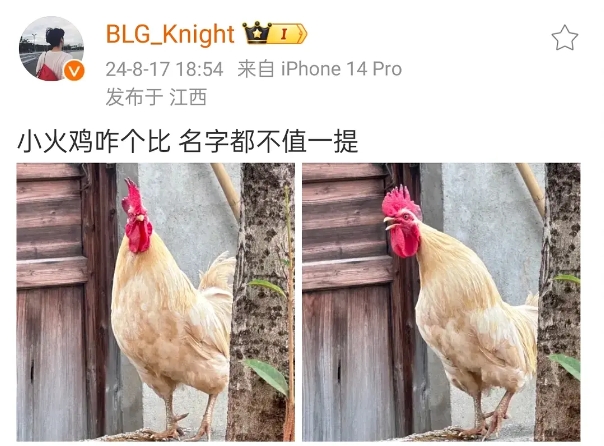 【QY球友会】爆？?BLG瓦knight疑似阴阳FPX：小火鸡咋个比 名字都不值一提