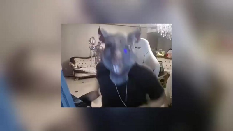 【QY球友会】姿态看IG战胜JDG赛后语音TheShy疯狂交流:今天TS话这么多吗!