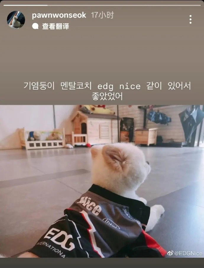【QY球友会】Deft和PawN发文送别Nice:下次再见吧;小宝贝心理教练Nice