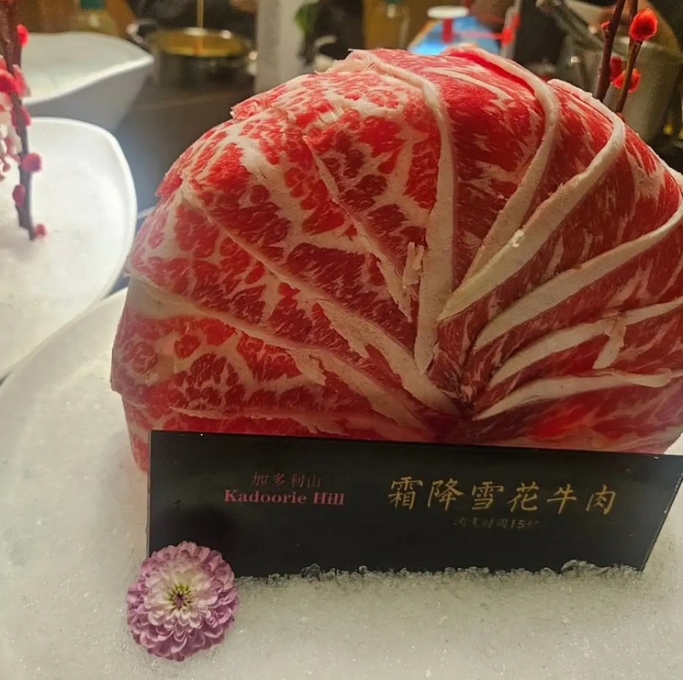 【QY球友会】WBG教练Kim分享WBG聚餐照片：多亏了小虎，吃了顿开心的聚餐