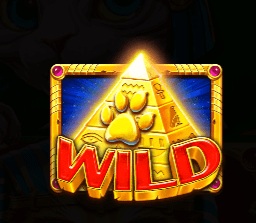 【QY球友会】埃及神猫:探寻古埃及的未解之谜