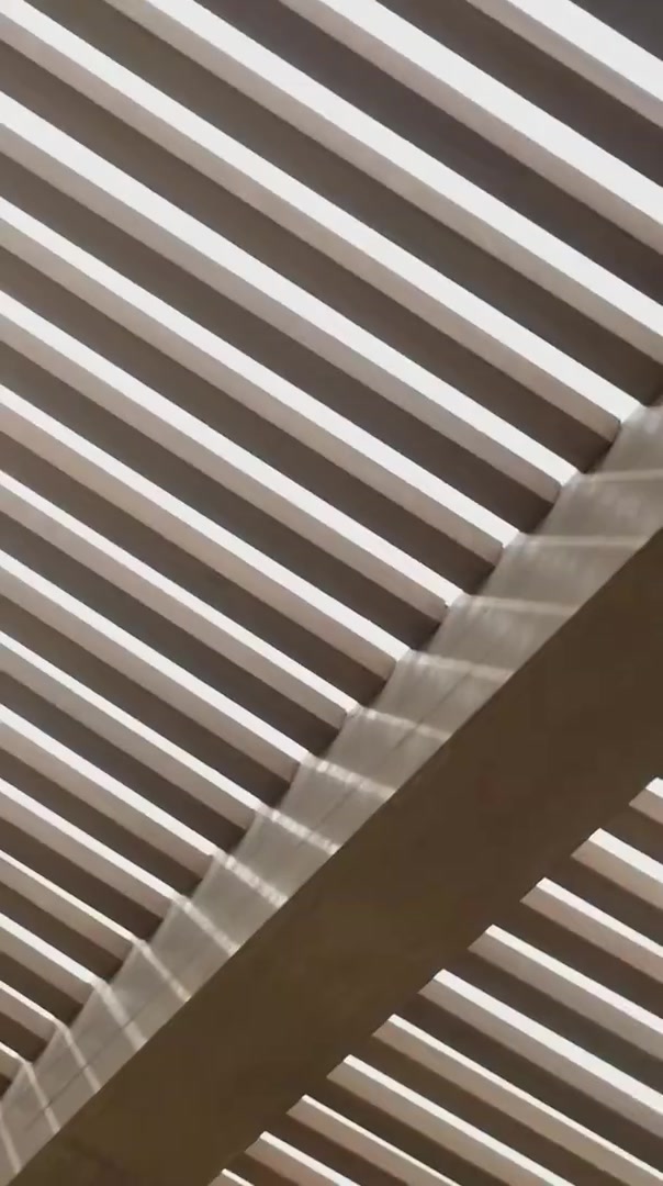 【QY球友会】T1分享队员沙特旅游短片：当世界冠军来到红海