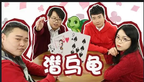【QY球友会】大发娱乐全新上线：《潜乌龟》——智者的纸牌战场