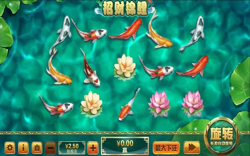 【QY球友会】大发娱乐全新力作 —— 招财锦鲤，带你畅游好运与财富