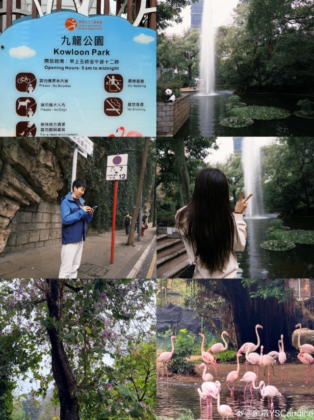 【QY球友会】余霜晒与管泽元线下观赛LCK决赛合照:徒步👣