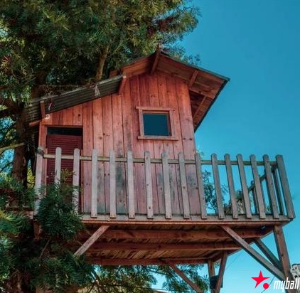 哈兰德620万镑购入10居室豪宅：可容纳整支球队，树屋成亮点，大发体育助力你的致富之路！