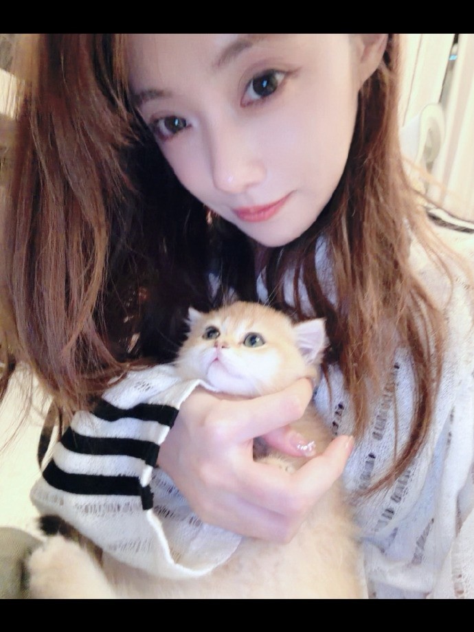 【QY球友会】主持人小钰分享日常照片：如何呢 一位小猫中毒患者罢了