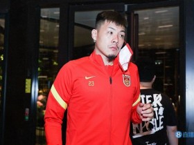 【QY球友会】沪媒评王大雷被追罚：在场上球员可以有血性，但绝对需杜绝暴力