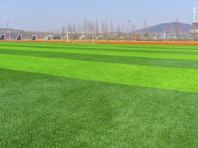 【QY球友会】广东省足球产业研究报告：广东省共有足球场地1.16万个居全国第一