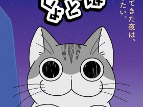 【QY球友会】动画《与猫共度的夜晚》宣布第2季将于2023年配信