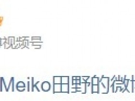 【QY球友会】Meiko分享烟花：新年快乐?