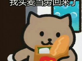 【QY球友会】胖猫花51万后自杀事件微博时间线整理 胖猫姐姐辟谣网传花了180万