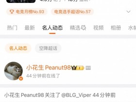 【QY球友会】BLG官宣Viper后 peanut在微博上线关注了Viper