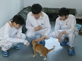 【QY球友会】AL分享队员公益活动返图:上野辅三兄弟铲屎记!