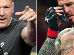 大发体育-达纳表示,他从未以“贬损的方式”谈论过汤姆,大发助力你的致富之路!