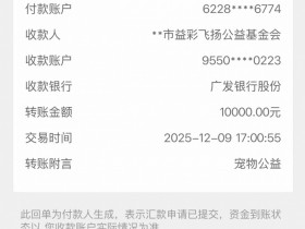 【QY球友会】虎之爱心!Xiaohu:向上海猫岛捐赠一万元 用于救助当地流浪猫