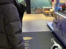 【QY球友会】BLG官媒晒队员日常:掉落一个沉浸式看咕噜噜玩球的per