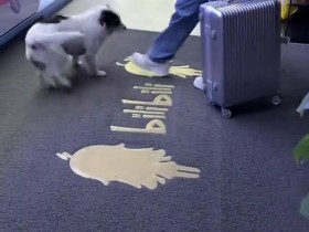 【QY球友会】回家的诱惑!BLG发布Xun抵达基地视频:欢迎Xun大哥回家