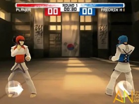 【QY球友会】大发娱乐跆拳道游戏全新上线:巅峰格斗,燃爆你的竞技灵魂