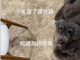 【QY球友会】好听是一首不嫌少!周杰伦新专辑超过12首歌 调侃:是不是有点多了