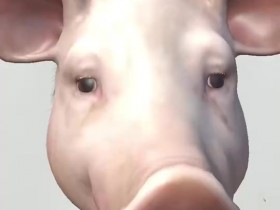 【QY球友会】Tian发布抽象视频祝福:新的一年祝大家马上暴富、福满乾坤