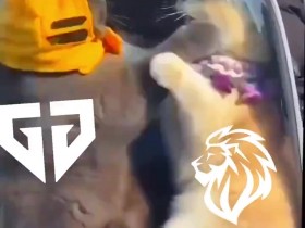 【QY球友会】LYON发布对阵GEN赛前视频:画面可能令人不适 请谨慎观看